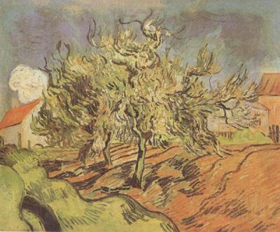 Vincent Van Gogh Landscape with Three and a House (nn04) Germany oil painting art